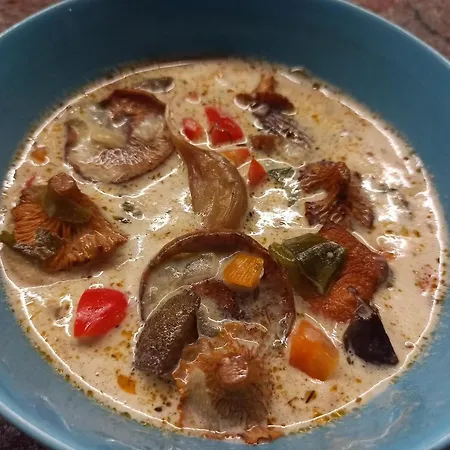 Gæstehus Jalowcowka Centrum Aktywnosci Psychoruchowej