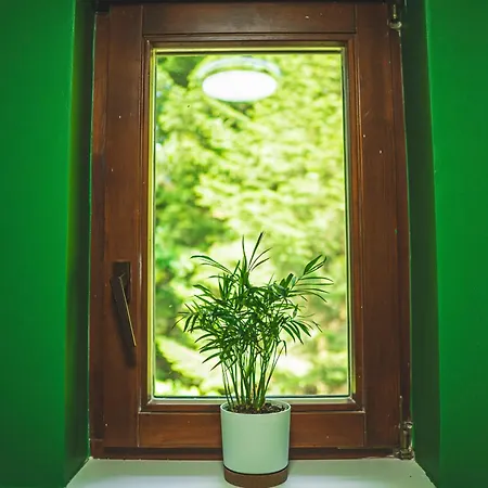 Gæstehus Jalowcowka Centrum Aktywnosci Psychoruchowej