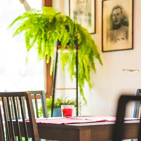 Jalowcowka Centrum Aktywnosci Psychoruchowej Gæstehus Koszarawa