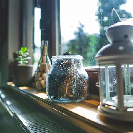 Gæstehus Jalowcowka Centrum Aktywnosci Psychoruchowej