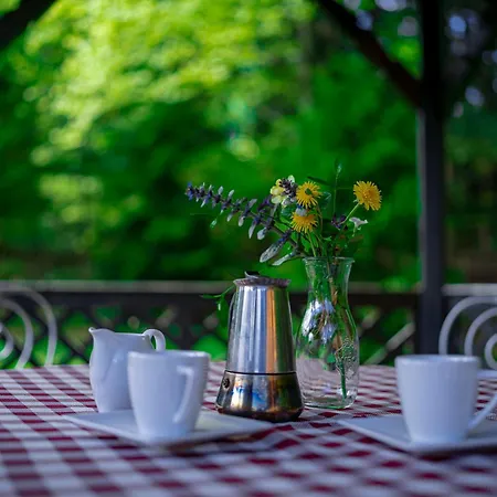 Jalowcowka Centrum Aktywnosci Psychoruchowej בית הארחה