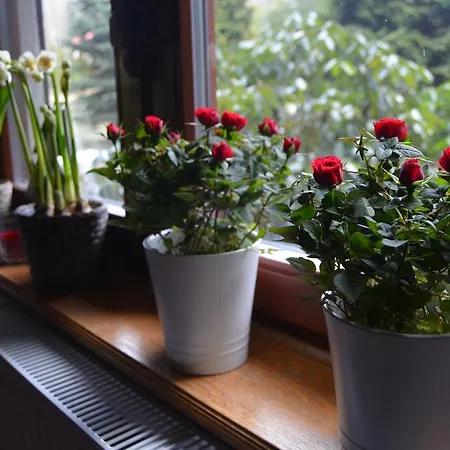 Jalowcowka Centrum Aktywnosci Psychoruchowej Gæstehus *