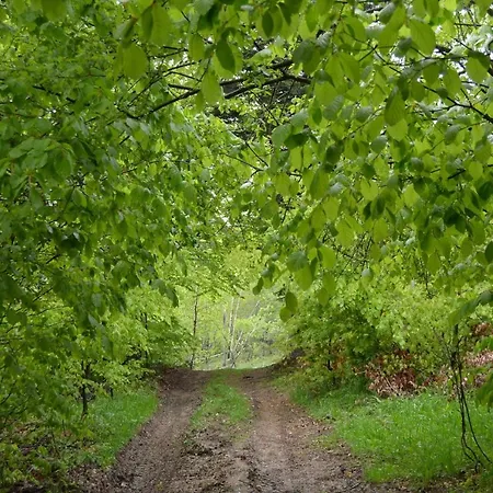 Jalowcowka Centrum Aktywnosci Psychoruchowej Koszarawa