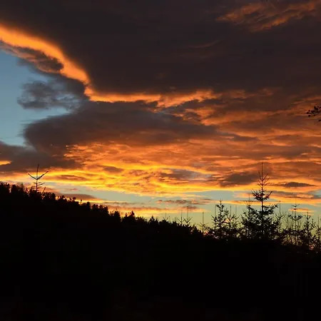 Jalowcowka Centrum Aktywnosci Psychoruchowej Gæstehus