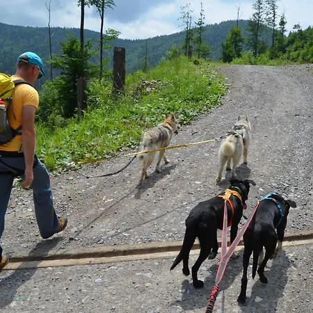 Gæstehus Jalowcowka Centrum Aktywnosci Psychoruchowej