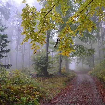 Jalowcowka Centrum Aktywnosci Psychoruchowej Koszarawa