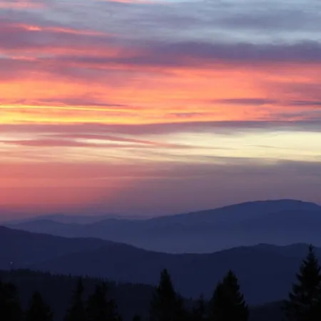 Gæstehus Jalowcowka Centrum Aktywnosci Psychoruchowej Koszarawa