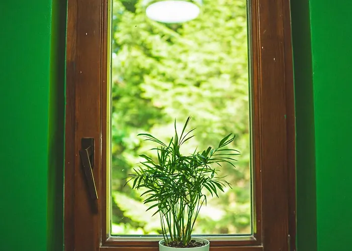 בית הארחה Jalowcowka Centrum Aktywnosci Psychoruchowej