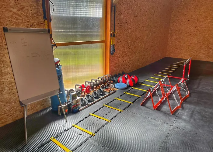 בית הארחה Jalowcowka Centrum Aktywnosci Psychoruchowej *