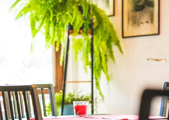 Jalowcowka Centrum Aktywnosci Psychoruchowej Guest house Koszarawa