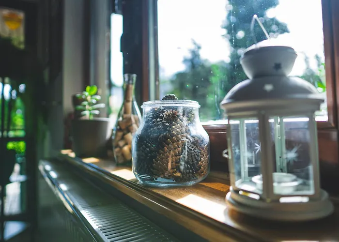 בית הארחה Jalowcowka Centrum Aktywnosci Psychoruchowej