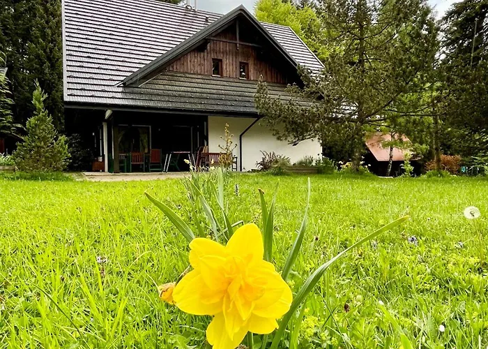 Jalowcowka Centrum Aktywnosci Psychoruchowej בית הארחה *