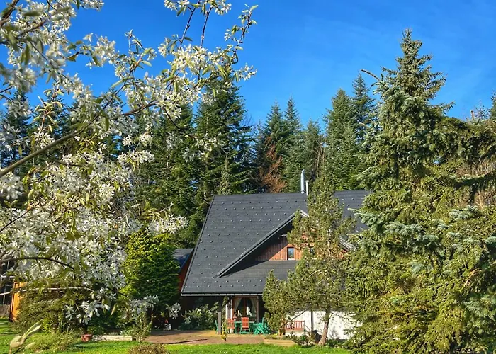 בית הארחה Jalowcowka Centrum Aktywnosci Psychoruchowej Koszarawa