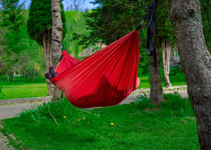 Jalowcowka Centrum Aktywnosci Psychoruchowej