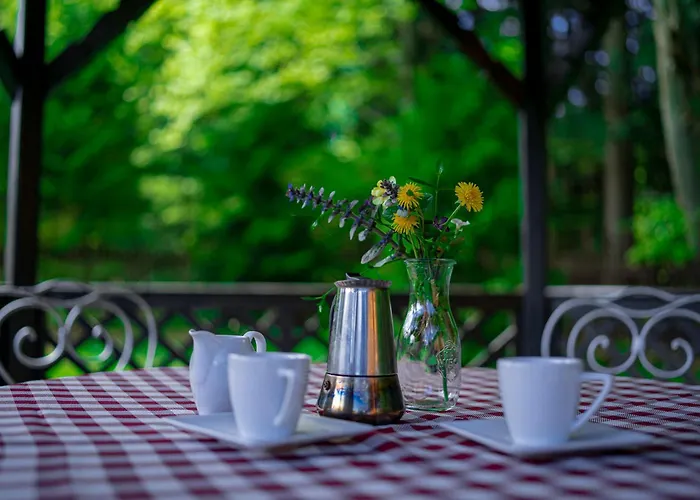 Jalowcowka Centrum Aktywnosci Psychoruchowej בית הארחה