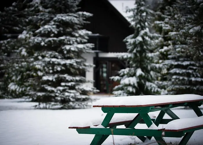 בית הארחה Jalowcowka Centrum Aktywnosci Psychoruchowej *