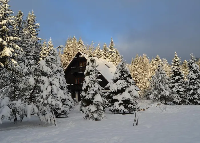 Jalowcowka Centrum Aktywnosci Psychoruchowej בית הארחה Koszarawa