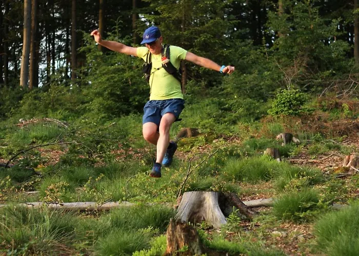 בית הארחה Jalowcowka Centrum Aktywnosci Psychoruchowej