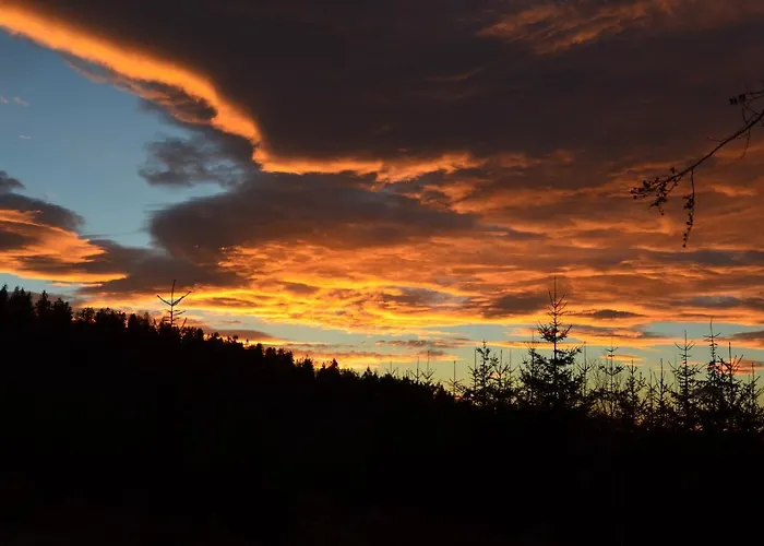 Jalowcowka Centrum Aktywnosci Psychoruchowej בית הארחה