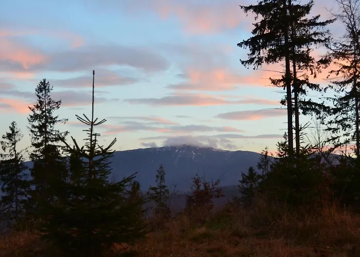 Jalowcowka Centrum Aktywnosci Psychoruchowej * Koszarawa