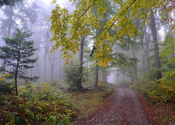 Jalowcowka Centrum Aktywnosci Psychoruchowej Koszarawa