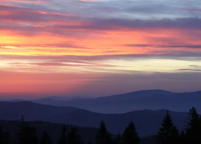 בית הארחה Jalowcowka Centrum Aktywnosci Psychoruchowej Koszarawa