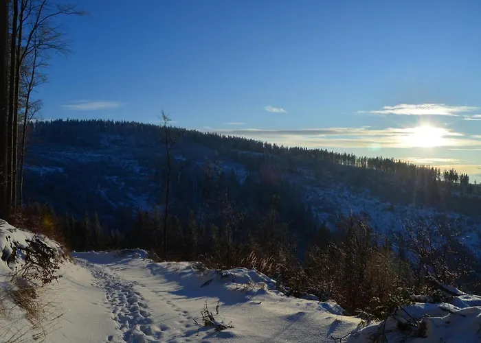 Jalowcowka Centrum Aktywnosci Psychoruchowej * Koszarawa